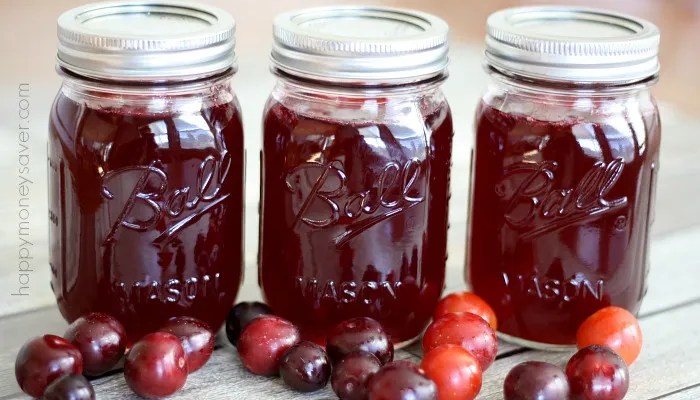 Plum jelly recipe