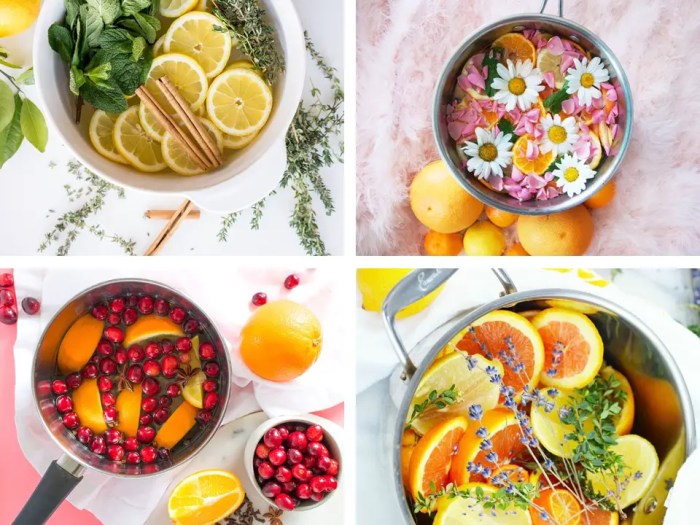 Simmer pot recipes