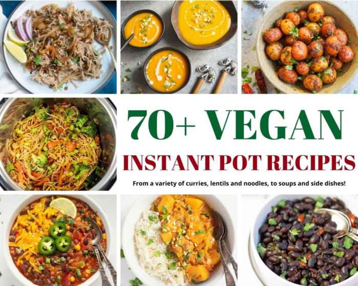 Vegan instant pot recipes