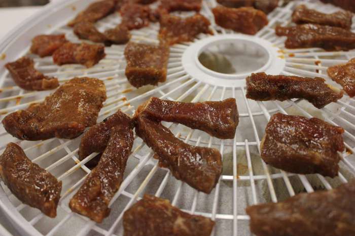 Venison jerky recipe