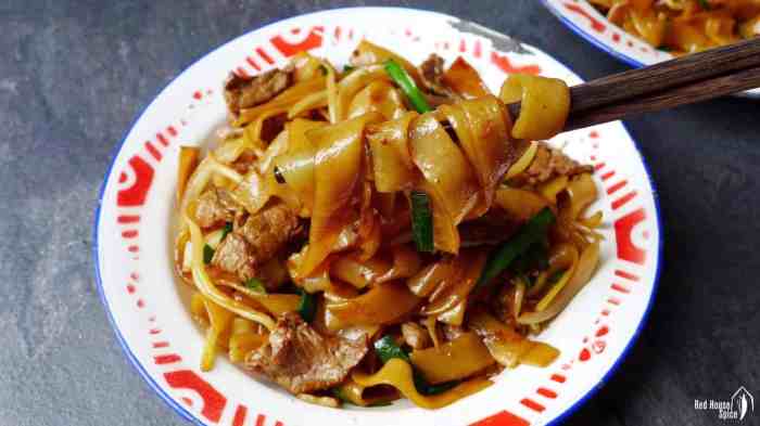 Beef chow fun recipe