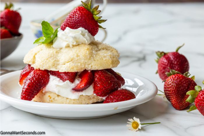 Strawberry bisquick shortcake recipe shortcakes box recipes biscuits easy mix winget susan not pancake anymore why had look saved haves