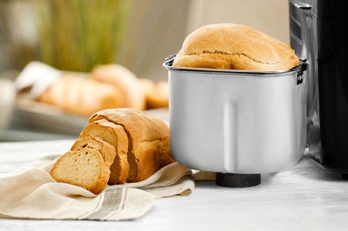 Cuisinart bread machine recipes