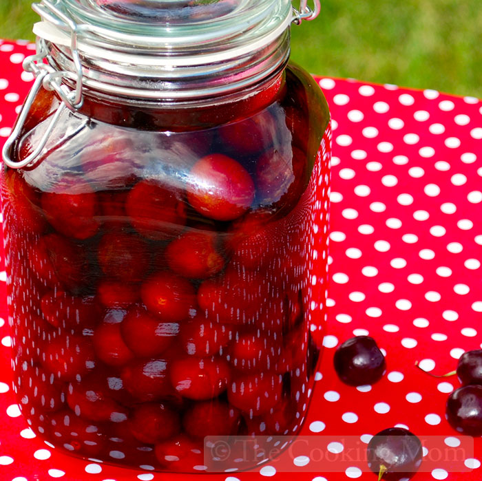 Cherry bounce recipe