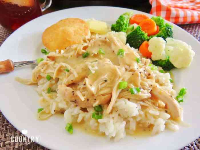 Chicken and gravy recipe