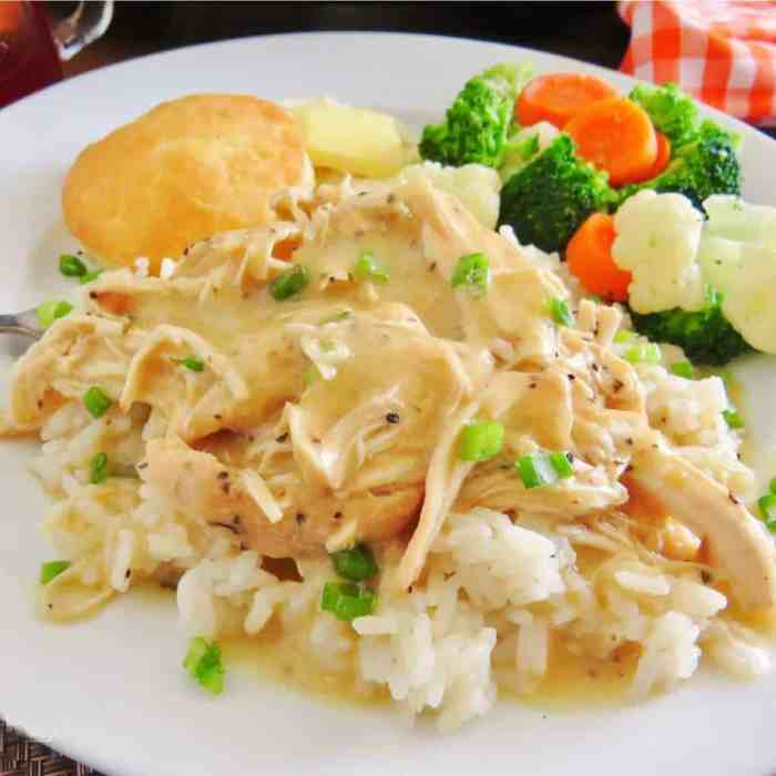 Chicken and gravy recipe