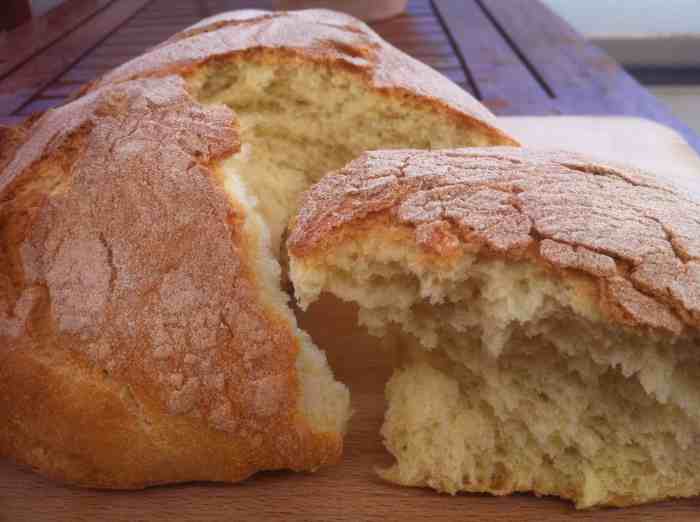 Flour beginners raising mygreekdish