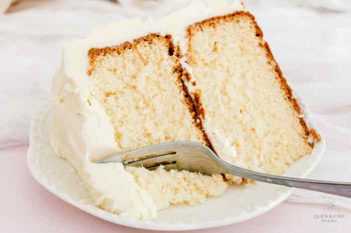 Bundt pudding moist chips