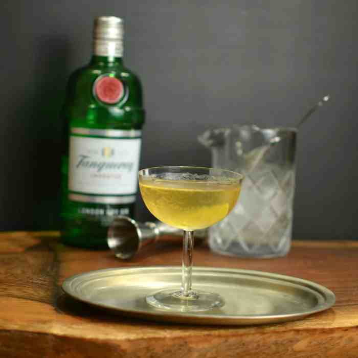 Gin martini recipe