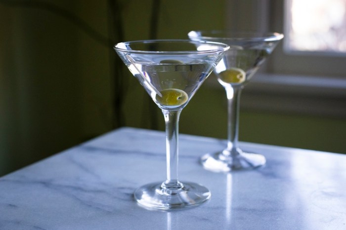 Gin martini recipe