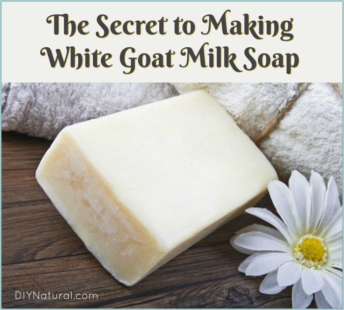 Goat milk soap recipe