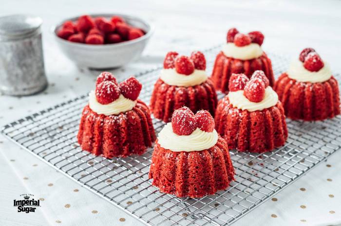 Bundt mini cakes hummingbird recipes imperial recipe