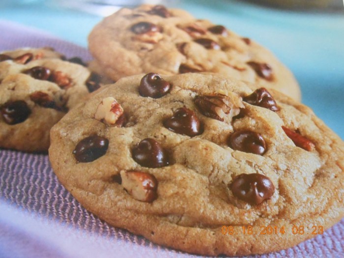 Nestle chocolate chip cookie recipe