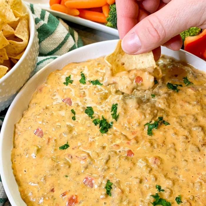 Rotel dip recipe