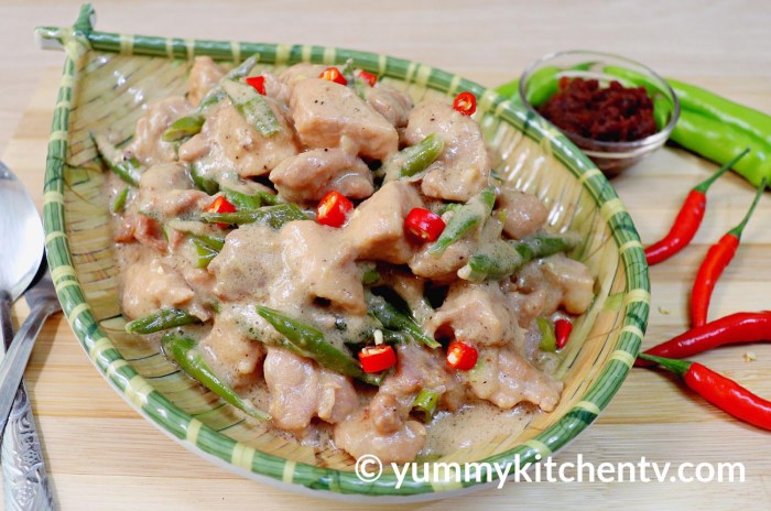 Bicol pinoy panlasang delicious