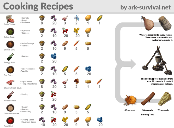 Ark kibble recipes