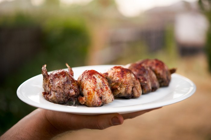 Dove nuggets breast