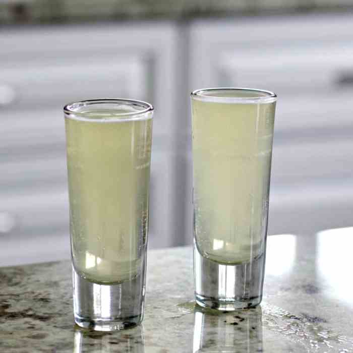 Green tea shot recipe