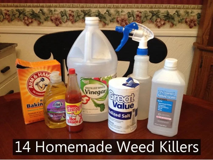Homemade weed killer recipe