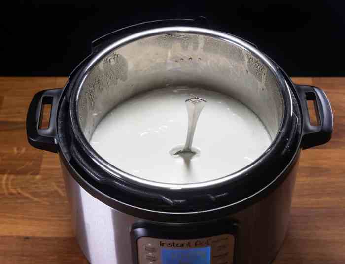Instant pot yogurt recipe