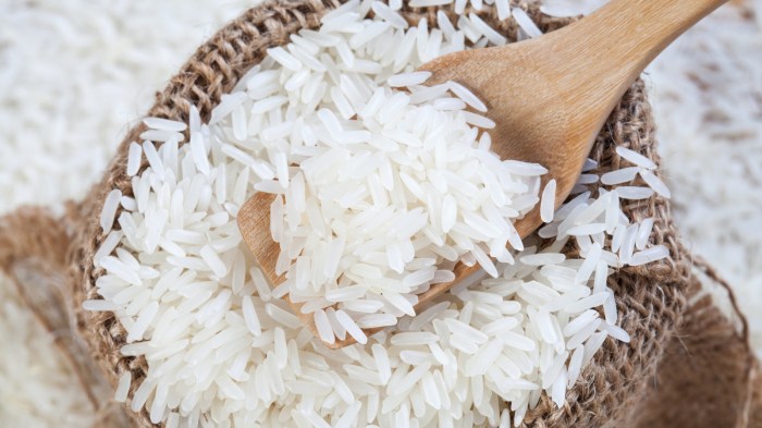 Rice