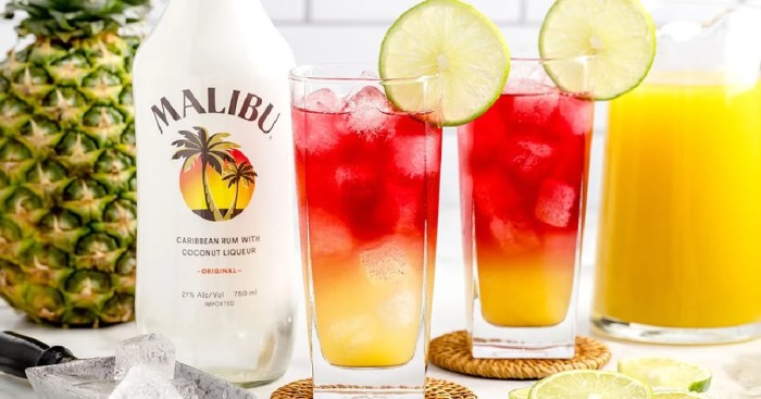 Malibu bay breeze recipe
