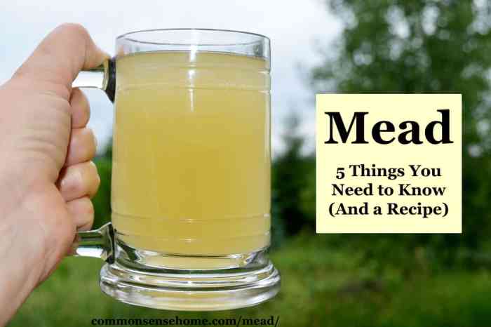 Mead recipe