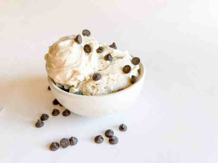 Ninja creami recipes