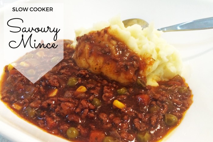 Slow cooker recipes with mince meat